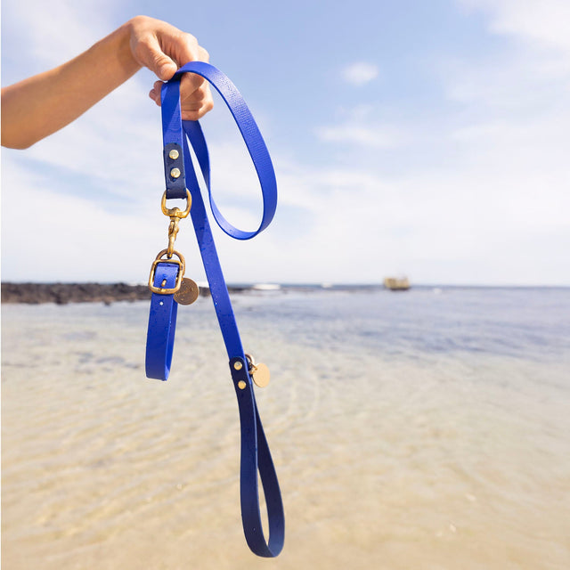 Waterproof Dog Leashes