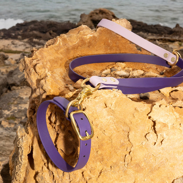 Waterproof Dog Leash - Lilac & Purple