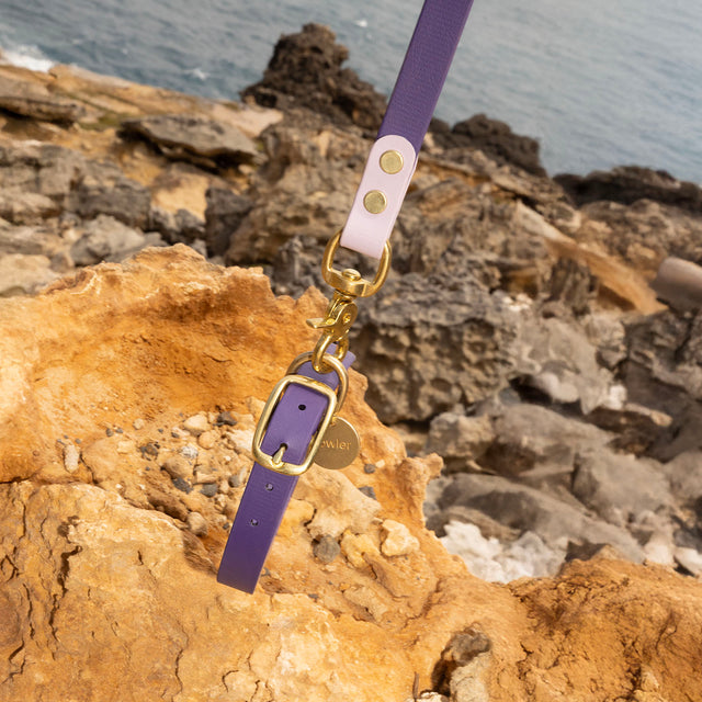 Waterproof Dog Collar - Purple