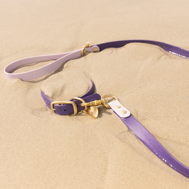 Waterproof Dog Leash - Lilac & Purple