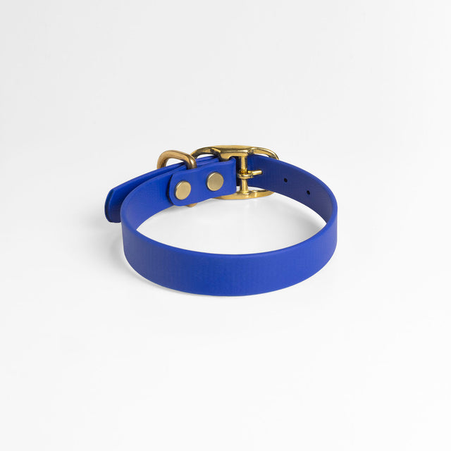 Waterproof Dog Collar - Royal Blue