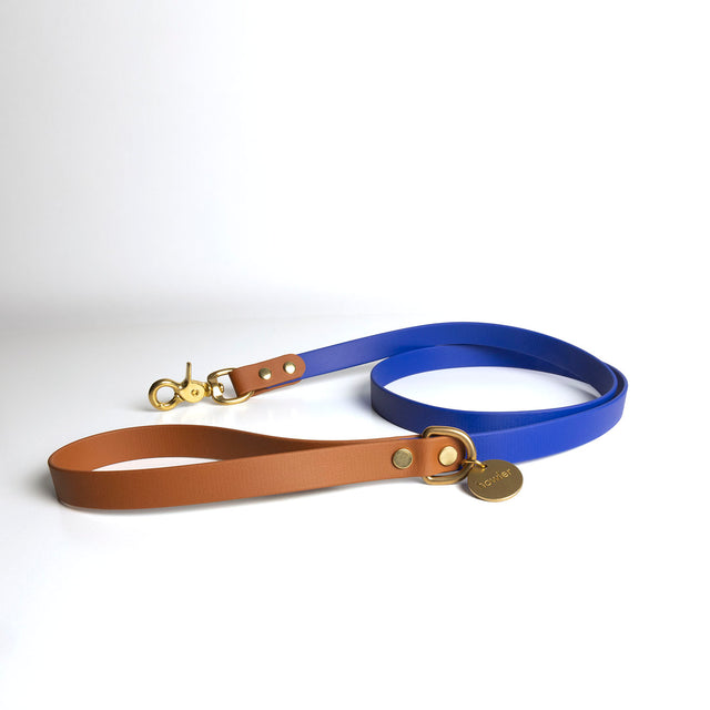 Waterproof Dog Leash - Tan & Royal Blue