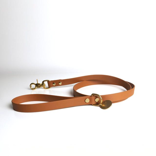 Waterproof Dog Leash - Tan