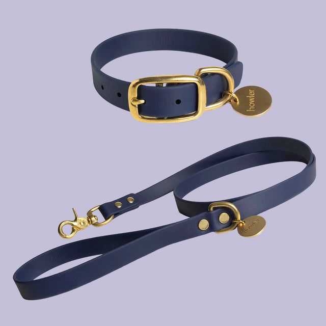 WATERPROOF Dog Collar and Leash Set