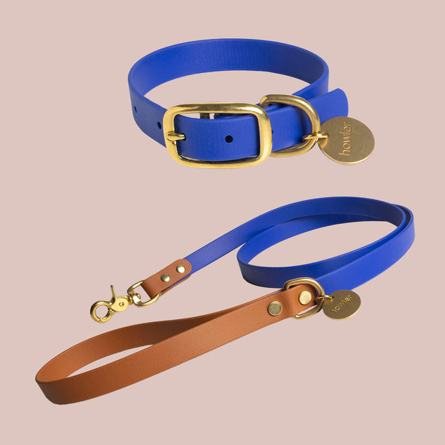 WATERPROOF Dog Collar and Leash Set