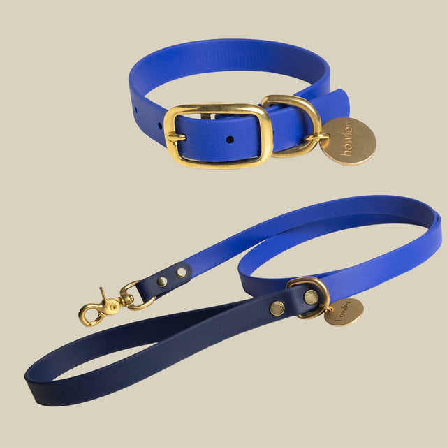 WATERPROOF Dog Collar and Leash Set