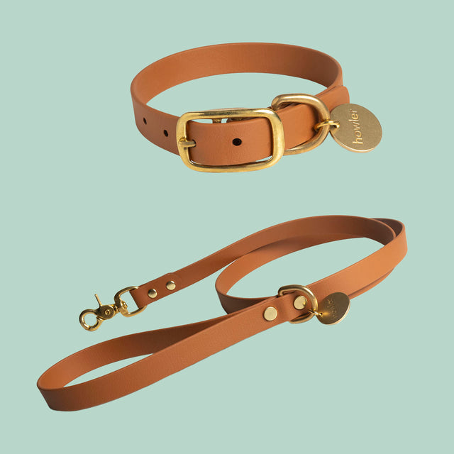 WATERPROOF Dog Collar and Leash Set